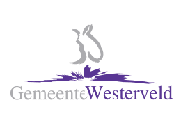 gemeente westerveld Flag